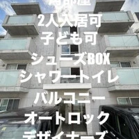 画像244