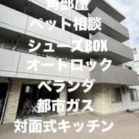 画像250