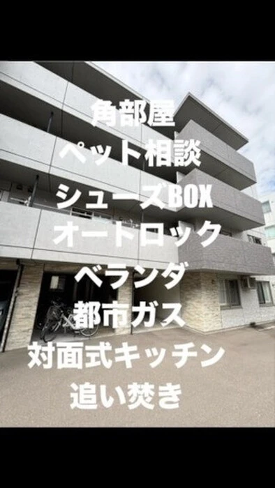 画像250