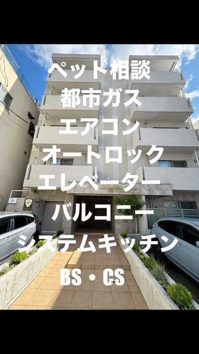 画像290